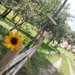 Zimmer, 1 Schlafzimmer, Raucher, Terrasse | Unterkunftsgelände