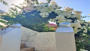 Appartement, 1 chambre, balcon, vue jardin | Extérieur