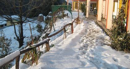 Room-janardan Resort Pangot, Nainital