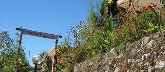 Room-janardan Resort Pangot, Nainital