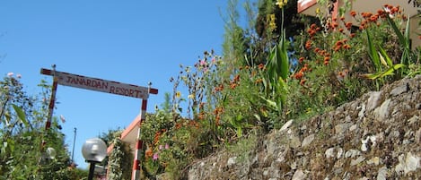 Zimmer, 1 Schlafzimmer, Raucher, Terrasse | Garten