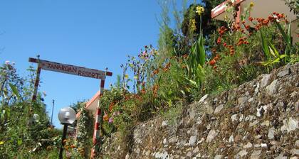 Room-janardan Resort Pangot, Nainital