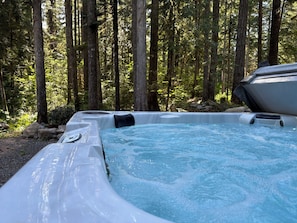 Un jacuzzi en un área boscosa con árboles y rocas.