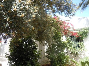 Casa, 3 dormitoris, accessible, fumadors | Jardí