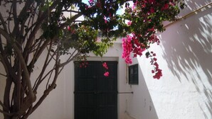 A narrow alleyway with a black gate, a white wall, and a tree with pink flowers. - House With Garden Wala (El Djem)