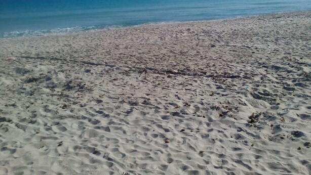 A sandy beach with visible footprints and a clear blue sky. - House With Garden Wala (El Djem)