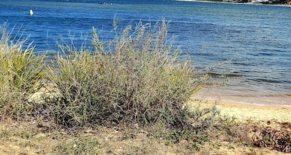 Ettalong Beach Studio at Palm Beach ferry stop