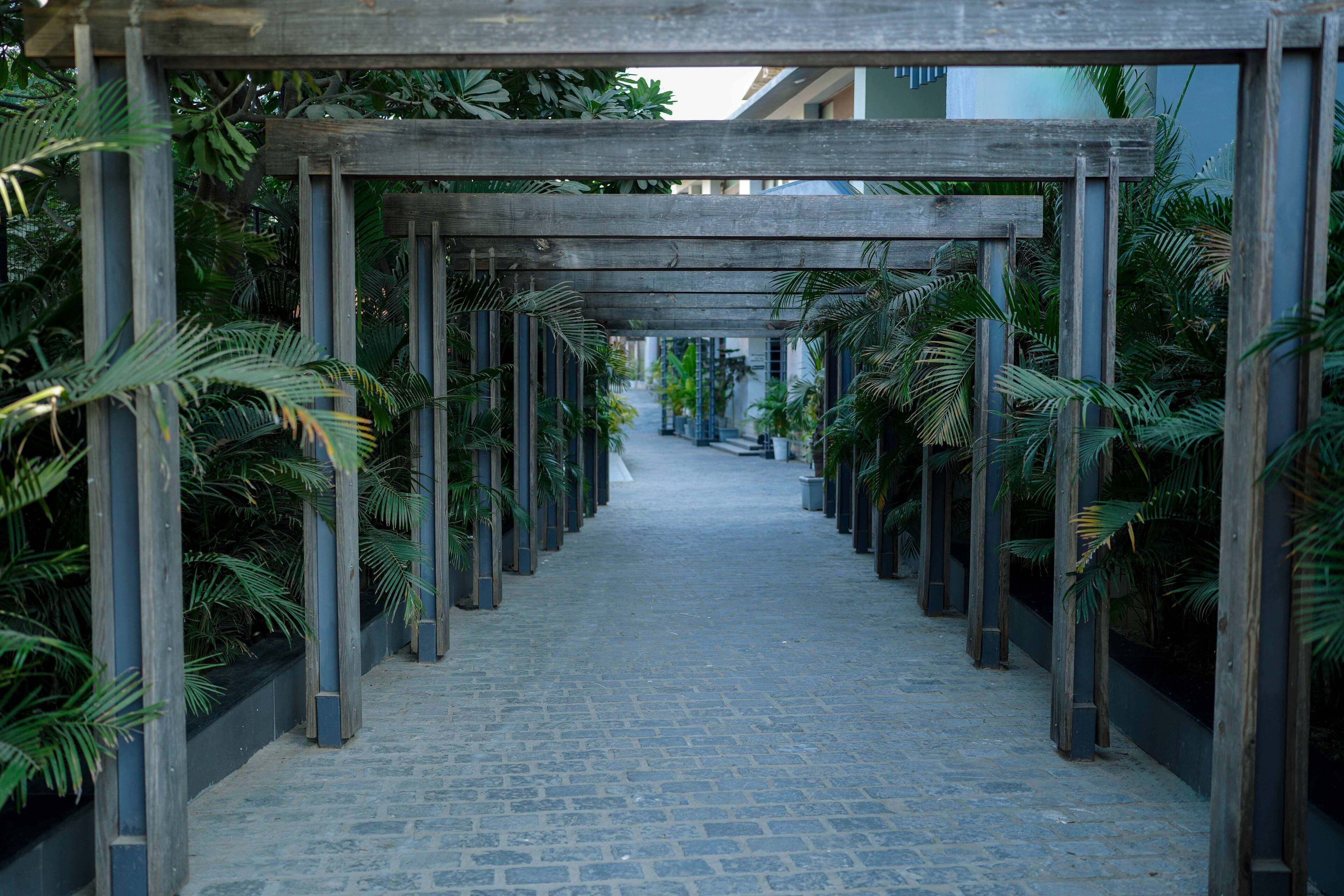 Photo - Medalio Resort Udaipur Shobhagpura