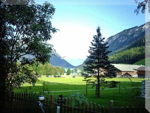 Property grounds - Apartment 3 - Apartments Seerose (Pertisau)