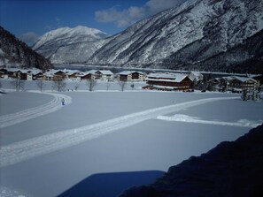 Image sans description, 5 de 31, bouton