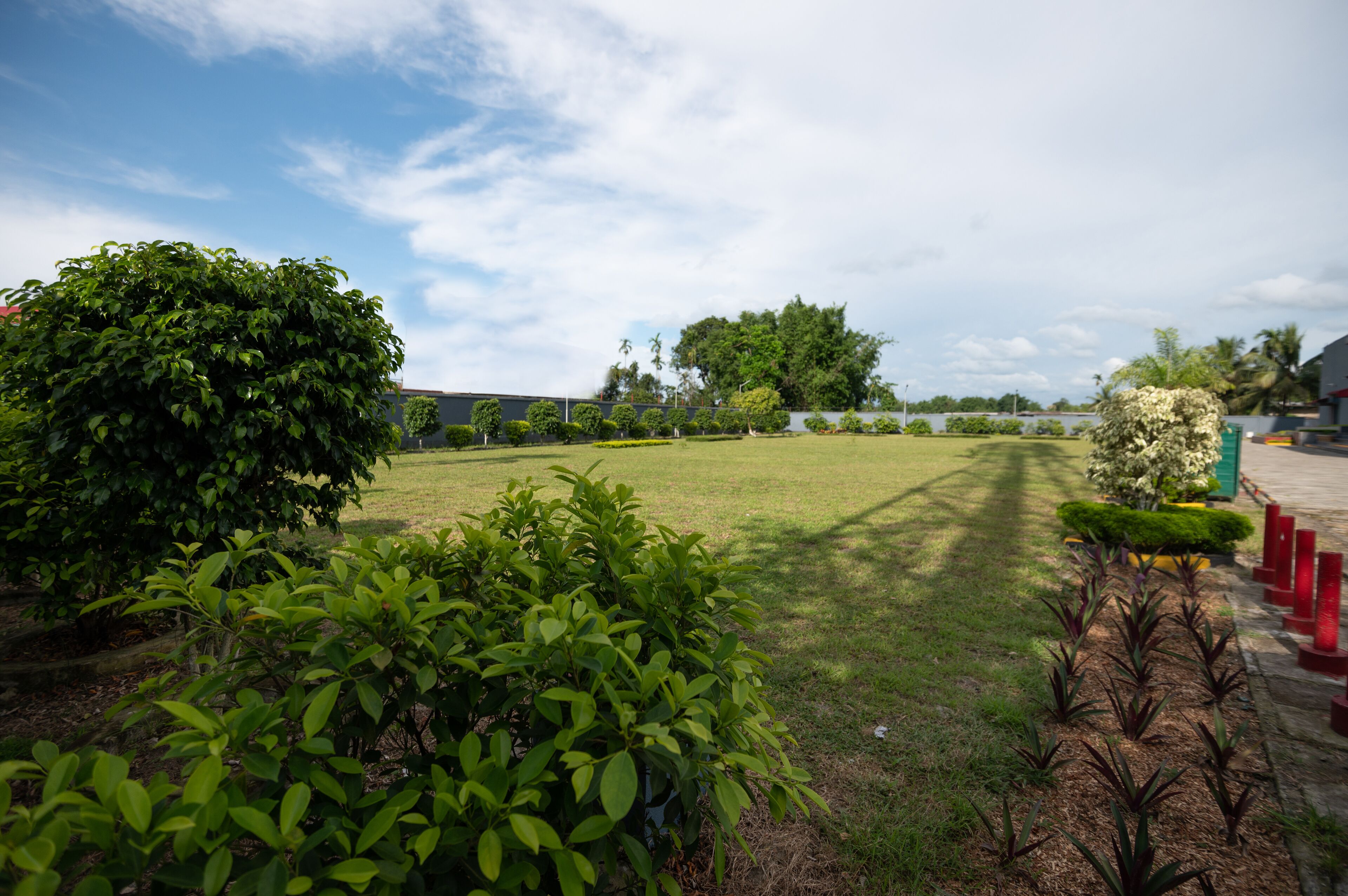 Un jardin bien entretenu, agrémenté de divers arbustes et d’une pelouse, et bordé d’un chemin en briques.