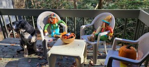 Property grounds - A cozy place to relax and unwind minutes away from Camelback Mountain Resort (Tannersville)