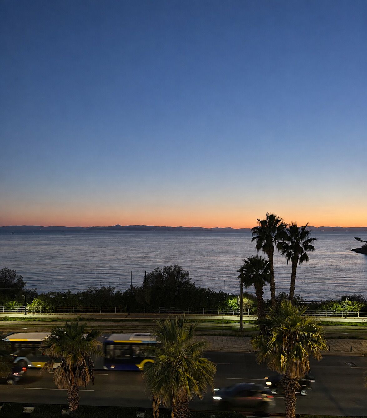 A sunset view over a body of water with palm trees and a road with vehicles.