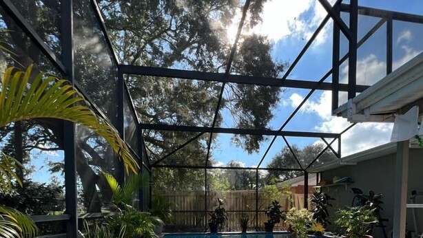 A rectangular swimming pool with clear blue water, surrounded by potted plants and a metal railing.