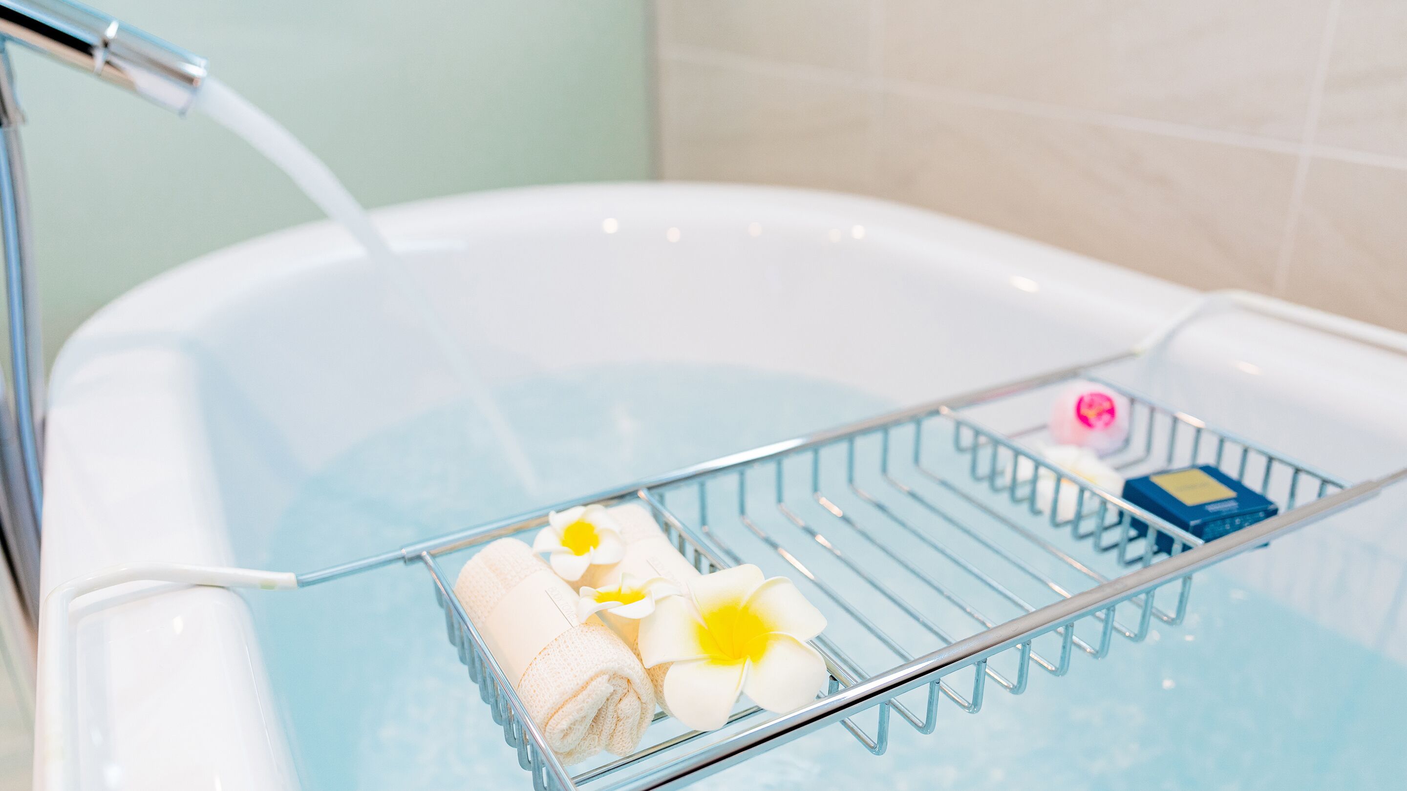 separate bathtub and shower, free toiletries, hair dryer, bathrobes