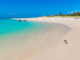 Egy tiszta, türkizkék vízű strand, homokos parttal, és a jobb oldalon egy kutyával.
