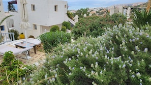 Apartment, 2 Bedrooms, Balcony, Garden View | Exterior - Canbana Full View for up to 8 Adults (Hersonissos)