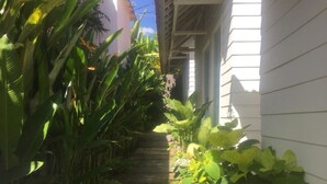 A narrow pathway flanked by lush green plants and a white building with a sloped roof. - Ms Snack Point Bed & Breakfast (Canggu)