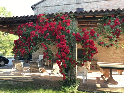 Appartamento Fichi Immerso nel Verde Delle Colline Marchigiane