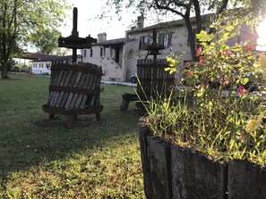 Terrein van de accommodatie