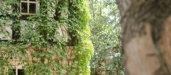 Nature vacation apartment Schöpstal upper floor