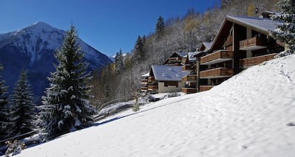 Bis 100m skipiste, Erdgeschoss, balkon, kamin oder ofen für holz, fernseher