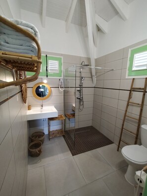 Shower, hair dryer, towels, soap