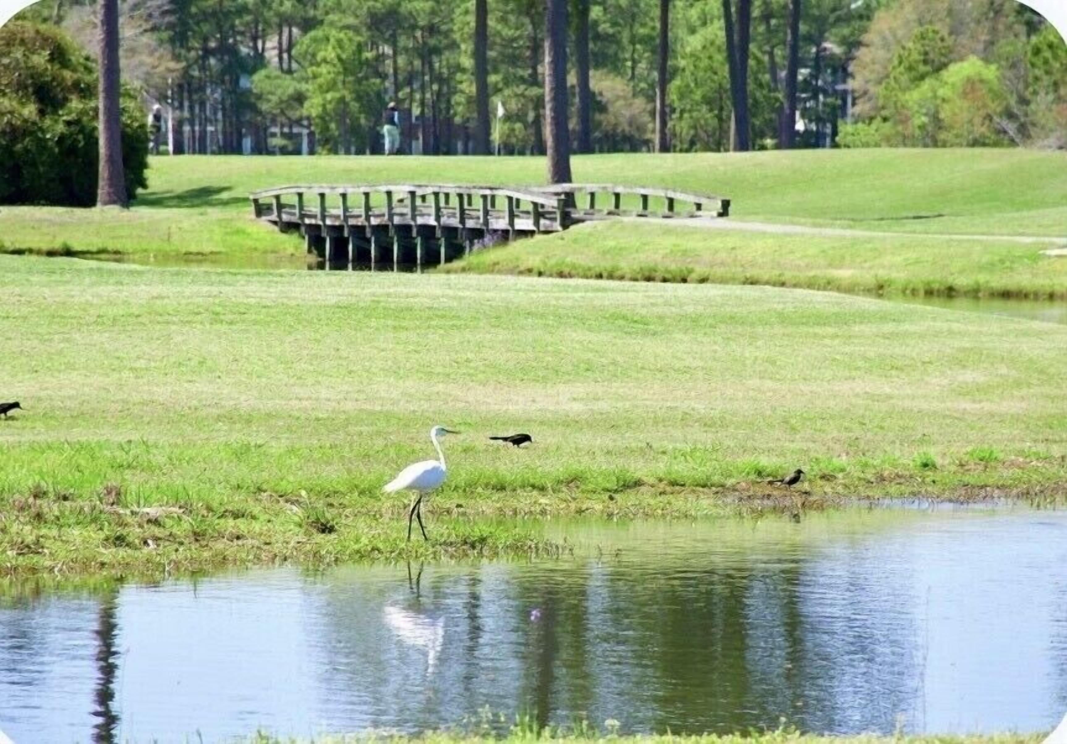 Ein Golfplatz mit einer Holzbrücke, einem Teich und einem weißen Vogel am Wasser.