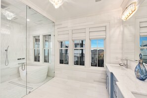 Shower, hair dryer, towels