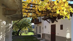 Une cour avec une pergola recouverte de feuilles jaunes, un banc en pierre et un chemin menant à un bâtiment doté d’une porte en bois.