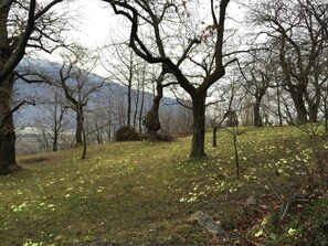 Chalé, 1 quarto, sacada, vista para o jardim | Fachada