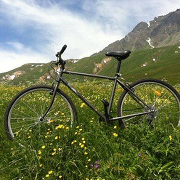 A bicycle in a grassy field with mountains in the background. - House Typical Of The Susa Valley (San Giorio di Susa)