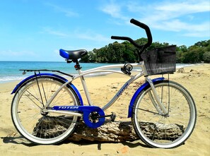 على الشاطئ، كراسي للتشمس