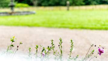 A garden with various plants and flowers.