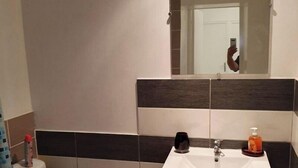 A bathroom with a toilet, sink, and mirror. - La Belle Auvergne 2 / Ground floor F3 - 5 people (Condat)