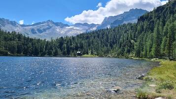 Un lago cristalino rodeado de un bosque denso y montañas.
