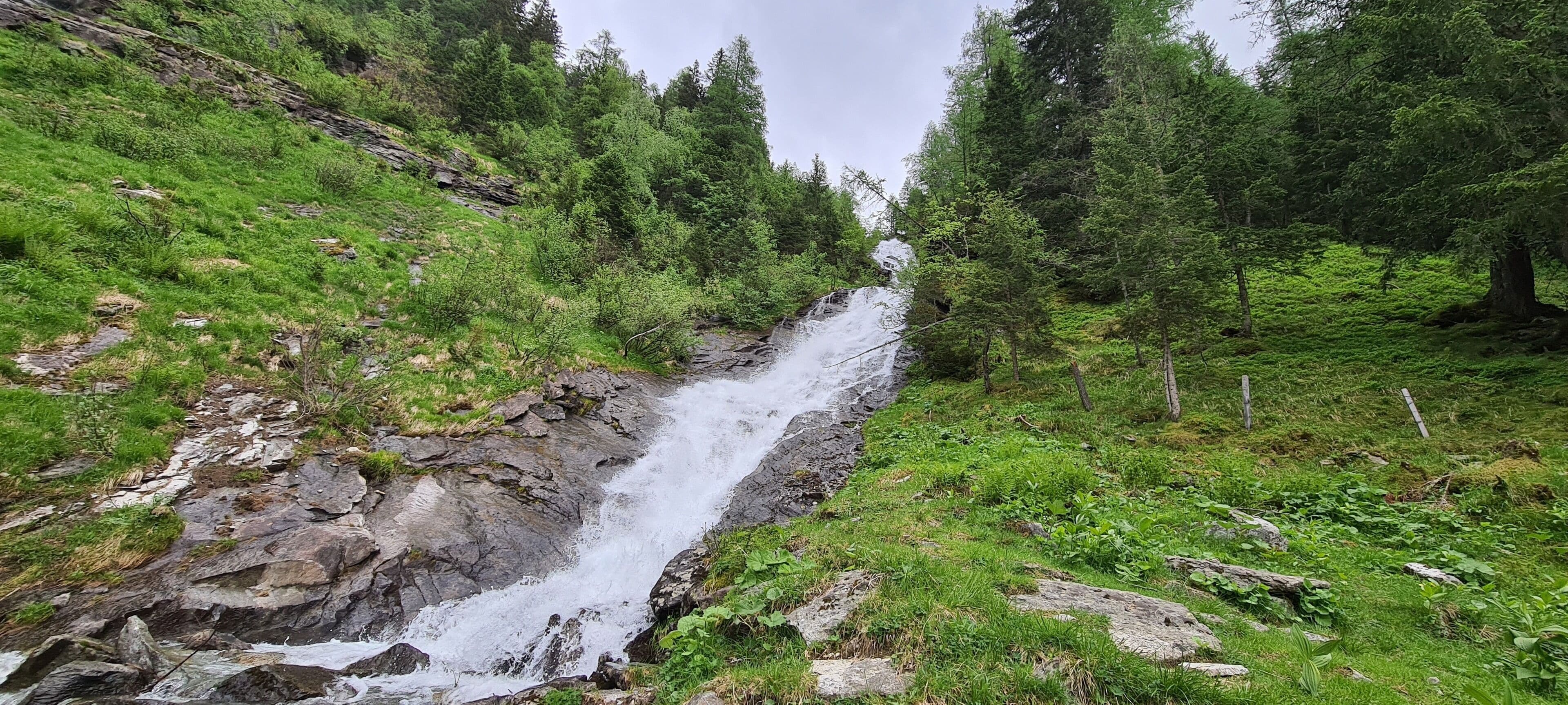 Una cascada natural rodeada de un bosque denso y terreno rocoso.