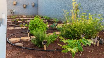 Terrein van de accommodatie