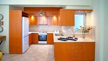 Fridge, oven, stovetop, cookware/dishes/utensils