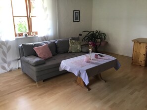 Fernseher, Computerbildschirme, Drucker