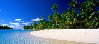 Siesta Key Waterfront Estate heated Pool Privacy!