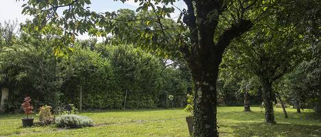 Overnattingsstedets uteområder