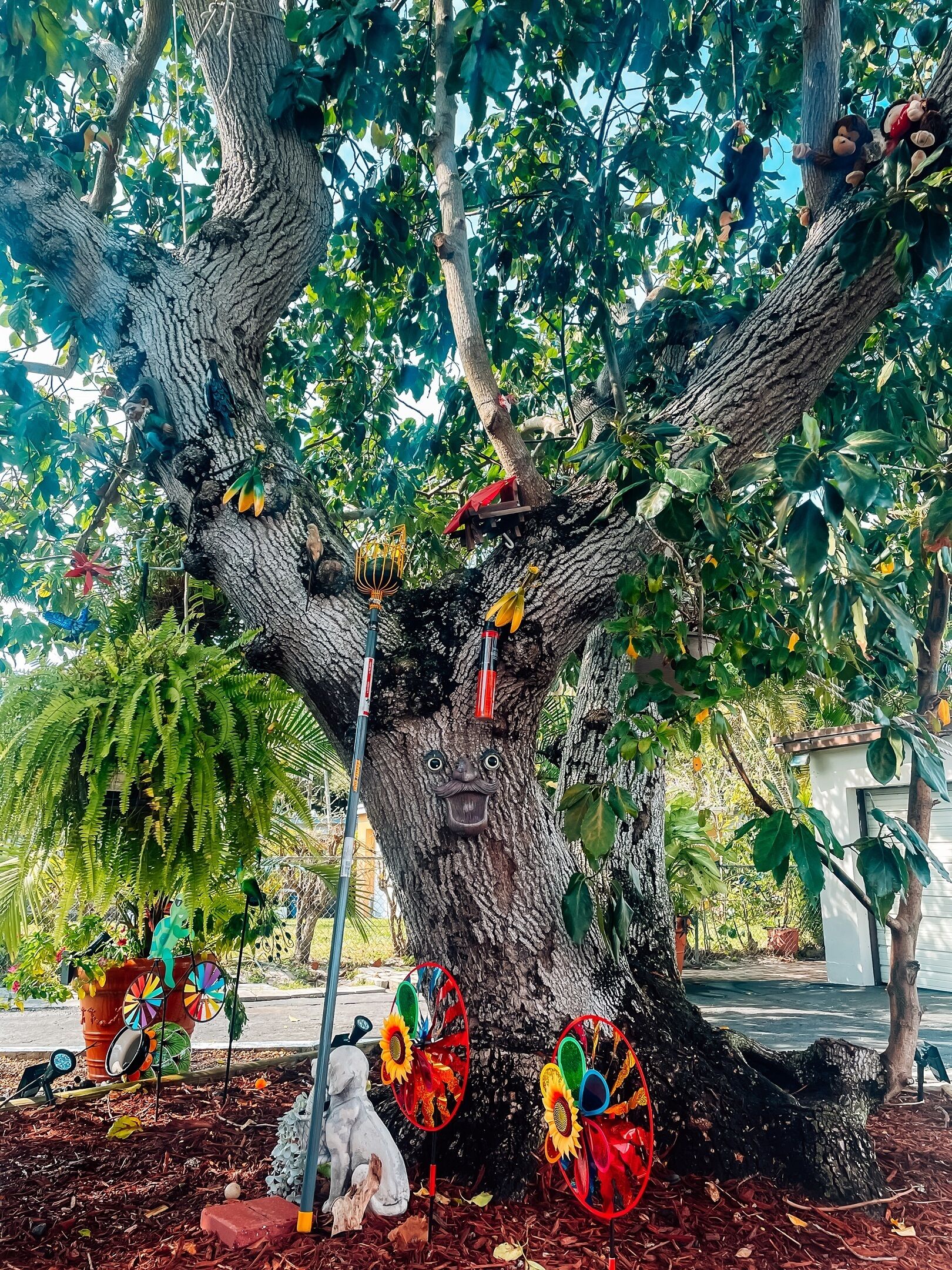 المنطقة المحيطة بالمنشأة