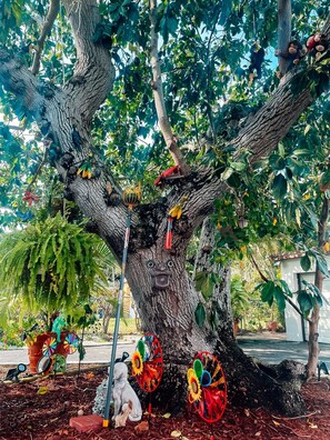 Property grounds - Hammocks & Mini-Golf! 10 mins from Beach! KING Bed! (Hollywood)