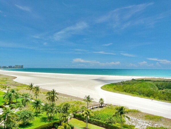 A coastal road with a beach, palm trees, and a clear blue sky.