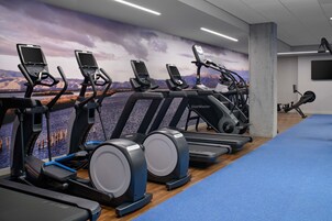 A gym with multiple treadmills and stationary bikes, a blue carpeted floor, and a scenic mural on the wall.