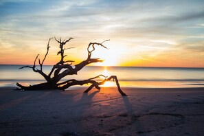 Perto da praia, espreguiçadeiras, toalhas de praia