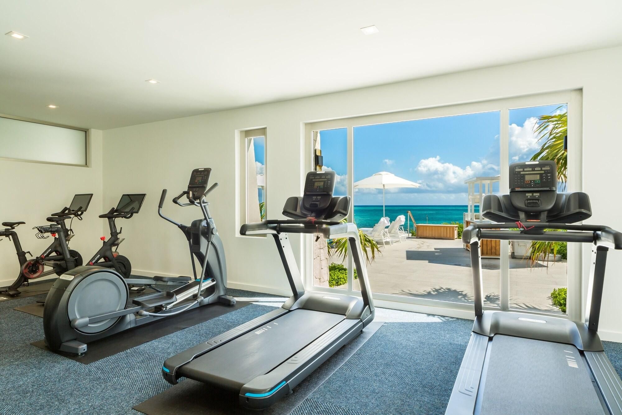 A gym with treadmills, stationary bikes, and a view of the ocean.