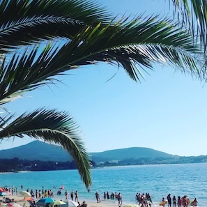 A beach with palm trees, people, and a clear blue sky.