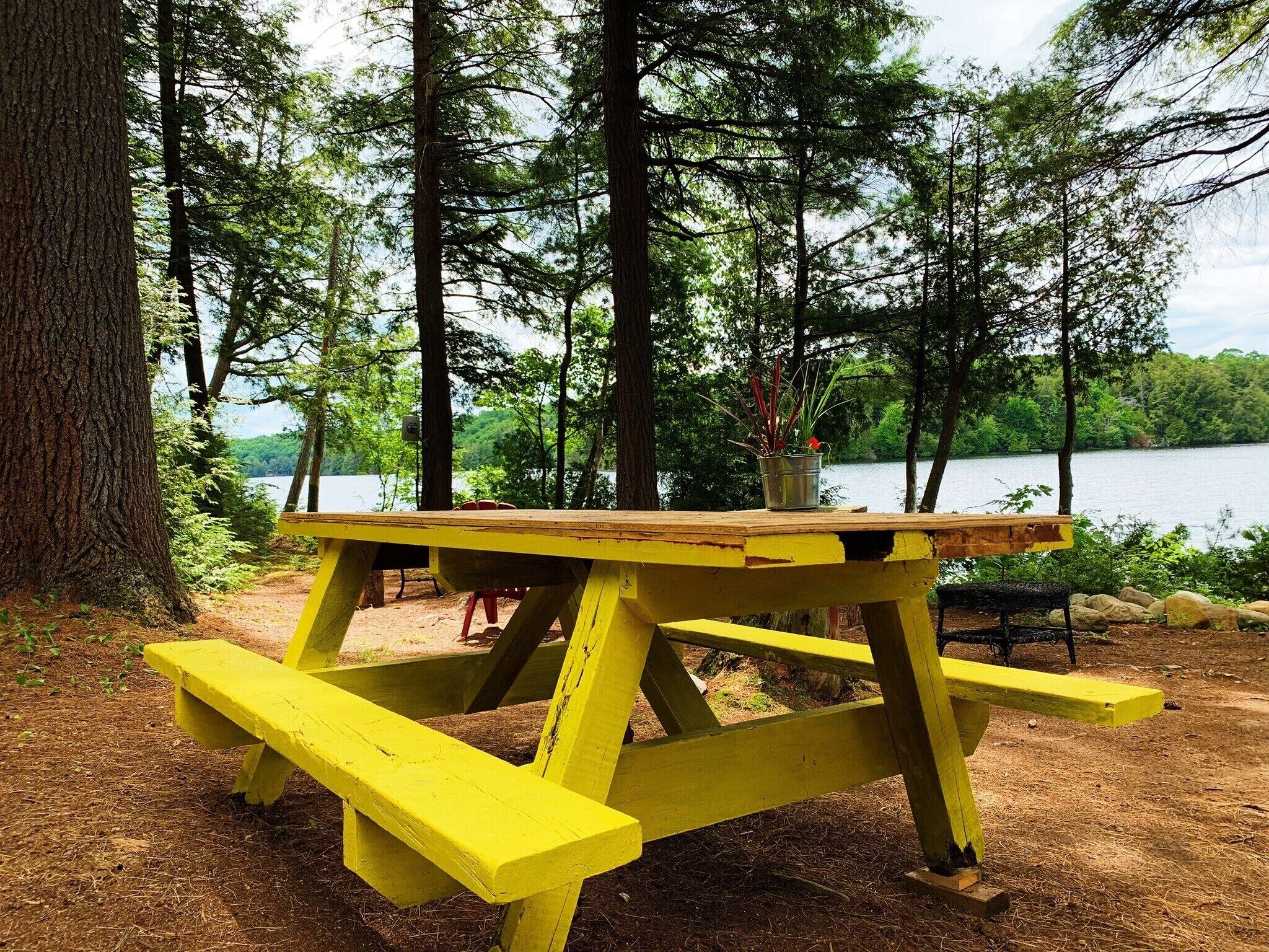 A yellow picnic table with benches, surrounded by trees and a lake.
